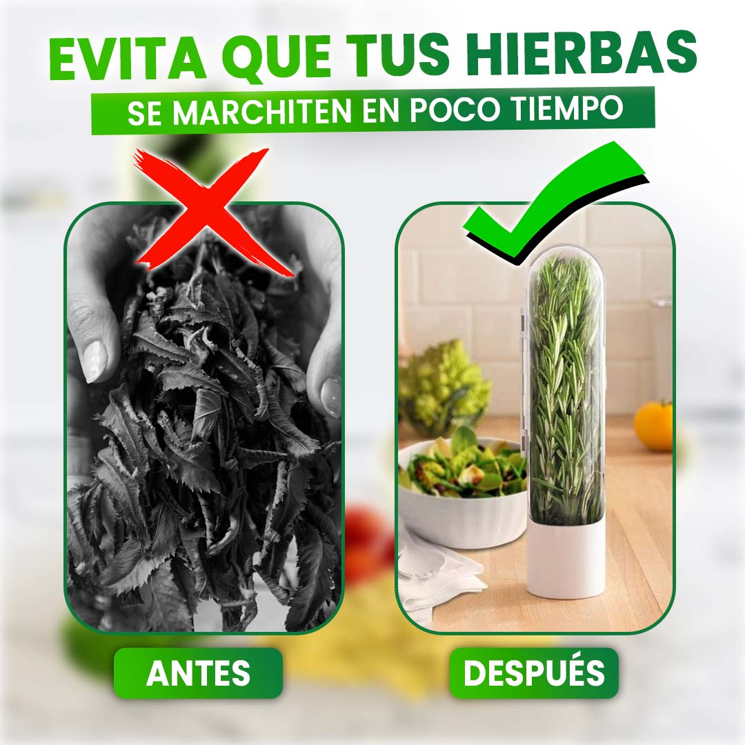 🎁QUITO PROMO 2 UNIDADES🎁CONTENEDOR DE HIERBAS FRESCAS