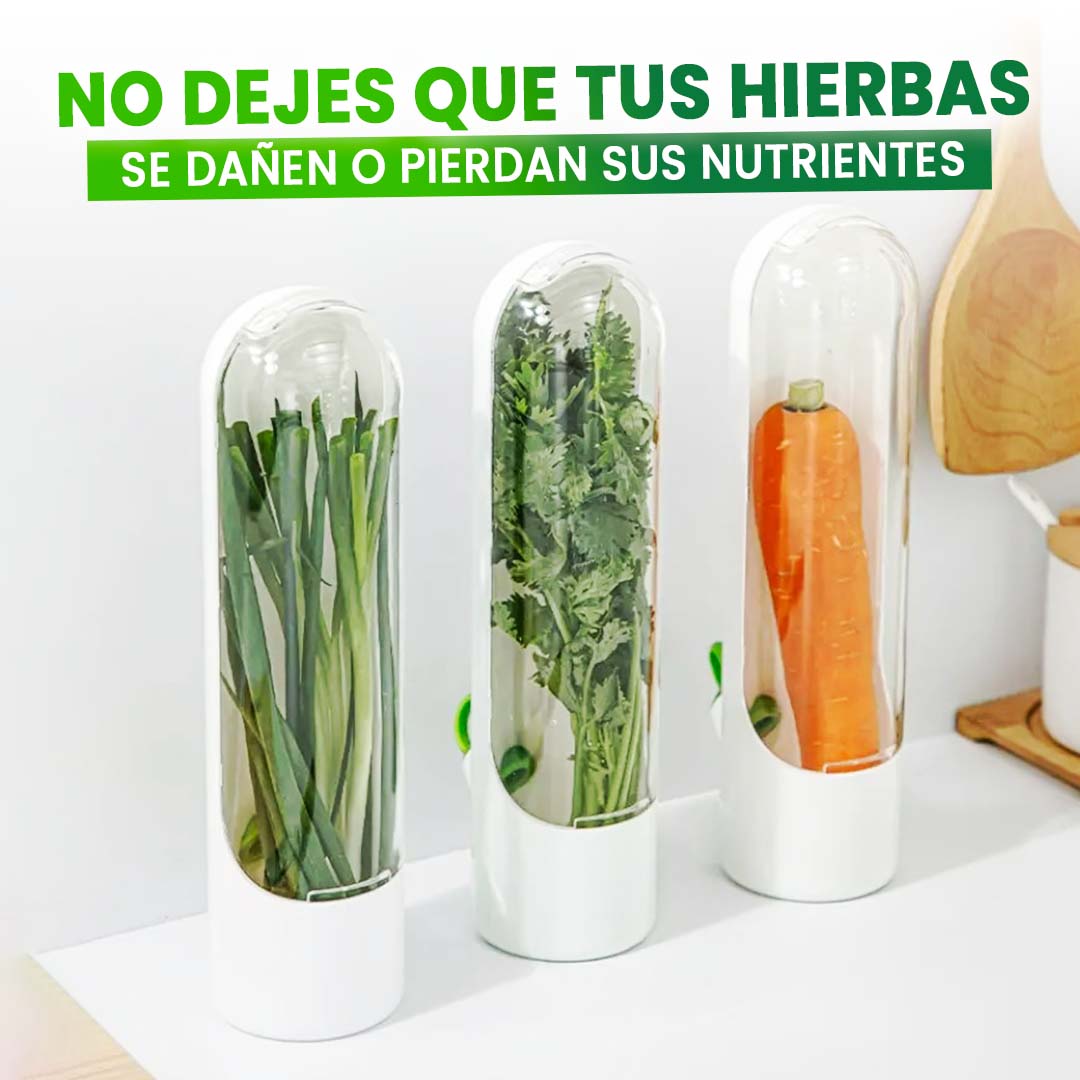 🎁QUITO PROMO 2 UNIDADES🎁CONTENEDOR DE HIERBAS FRESCAS