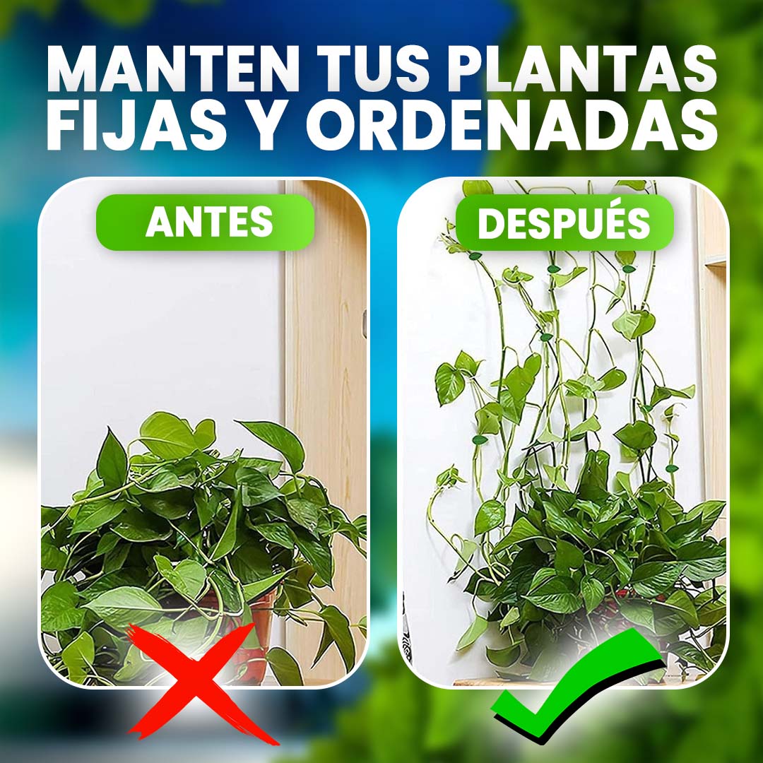 CLIPS ADHESIVOS PARA PLANTAS TREPADORAS 🎁PROMO 5O CLIPS🎁