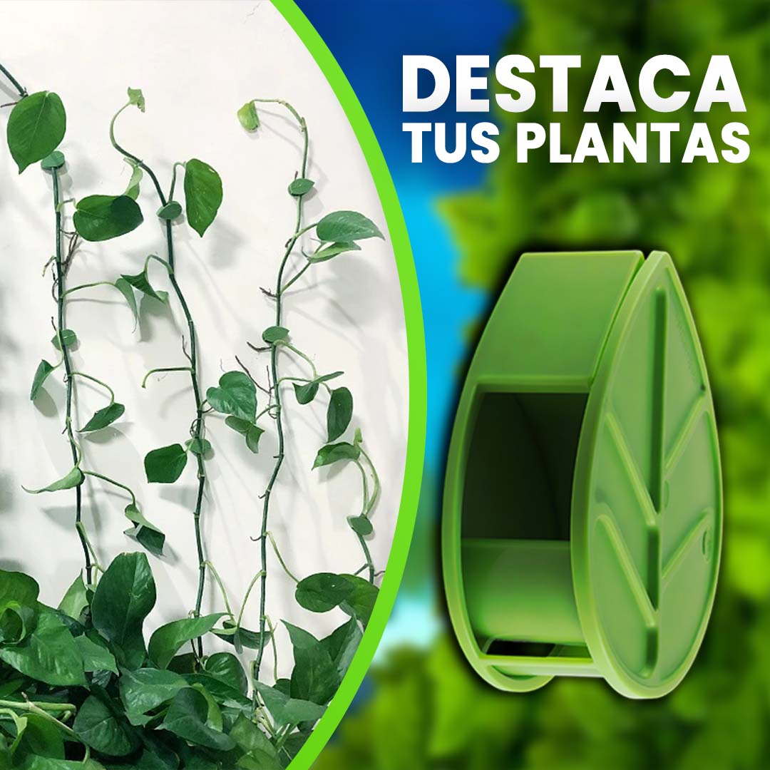 CLIPS ADHESIVOS PARA PLANTAS TREPADORAS 🎁PROMO 5O CLIPS🎁
