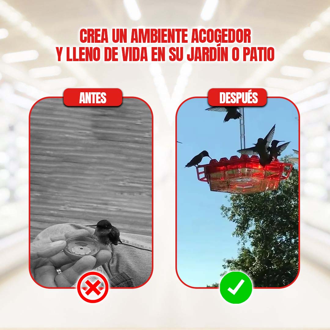 BEBEDERO PARA COLIBRI 🎁HOY ENVÍO GRATIS🎁