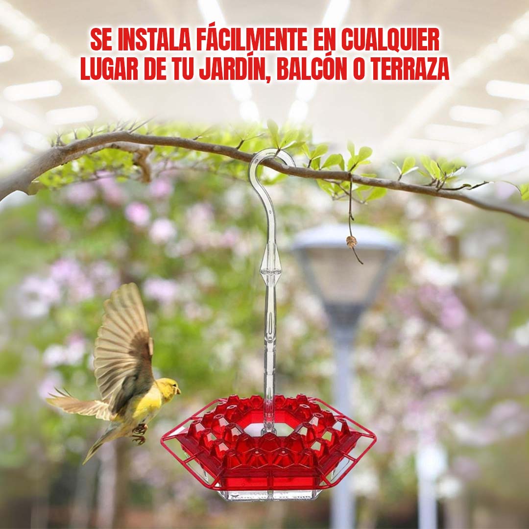 BEBEDERO PARA COLIBRI 🎁HOY ENVÍO GRATIS🎁