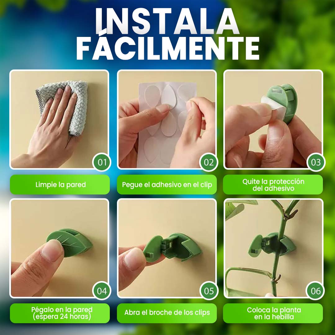 CLIPS ADHESIVOS PARA PLANTAS TREPADORAS 🎁PROMO 5O CLIPS🎁