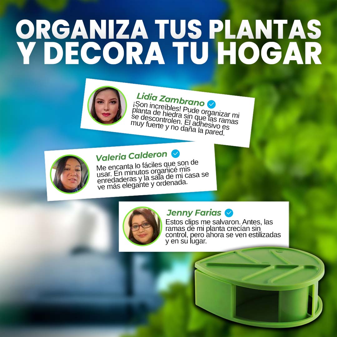 CLIPS ADHESIVOS PARA PLANTAS TREPADORAS 🎁PROMO 5O CLIPS🎁