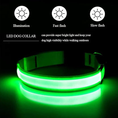 Collar Luminoso Perro de Mascota, Collar Recargable 3 Modos y Collares LED- TALLA L