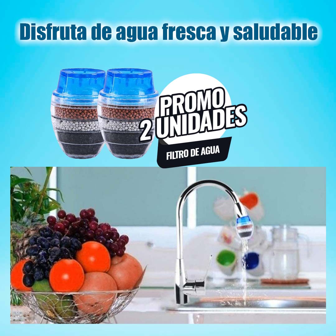 FILTRO PURIFICADOR ??PROMO 2 UNDIADES??