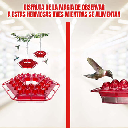 BEBEDERO PARA COLIBRI 🎁HOY ENVÍO GRATIS🎁