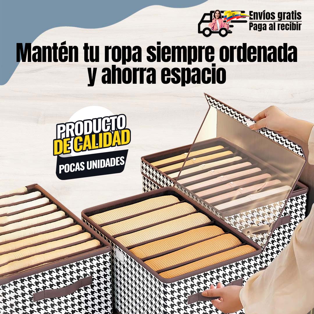 GABETA ORGANIZADORA DE ROPA CON DIVISIONES