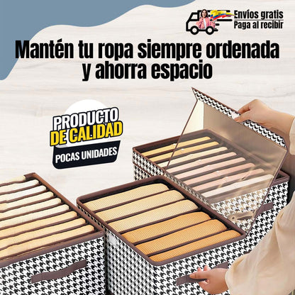 GABETA ORGANIZADORA DE ROPA CON DIVISIONES