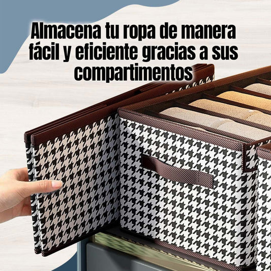 GABETA ORGANIZADORA DE ROPA CON DIVISIONES