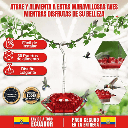 BEBEDERO PARA COLIBRI 🎁HOY ENVÍO GRATIS🎁