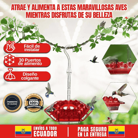 BEBEDERO PARA COLIBRI 🎁HOY ENVÍO GRATIS🎁