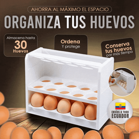 CAJA DE ALMACENAMIENTO DE HUEVOS