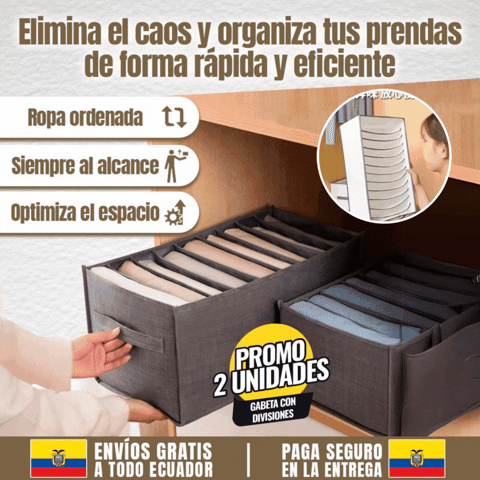 GABETA ORGANIZADORA CON DIVISIONES 🎁PROMO 2 UNDIADES🎁